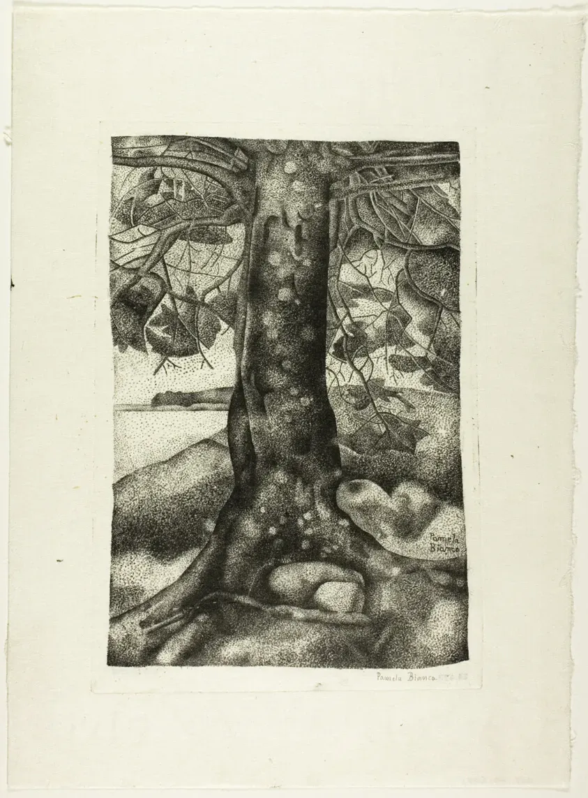 Gathering Ingredients for Your Perfect Mediterranean Chickpea Salad